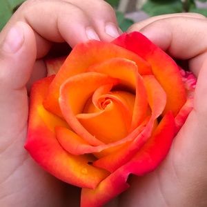 Meet your Posher, Mariela